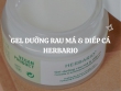 Gel dưỡng rau má & diếp cá Herbario 30ml - Bí quyết dưỡng ẩm không bí da cho da dầu mụn